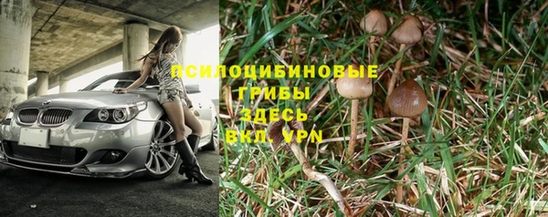 метадон Богородицк