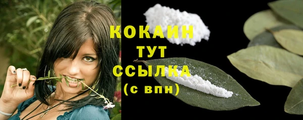 молекула духа Богданович