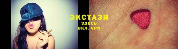 молекула духа Богданович