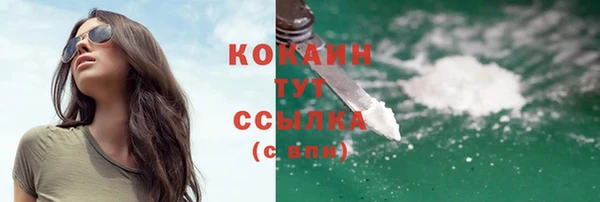 молекула духа Богданович