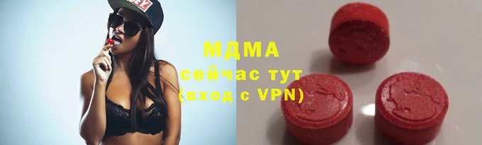 молекула духа Богданович