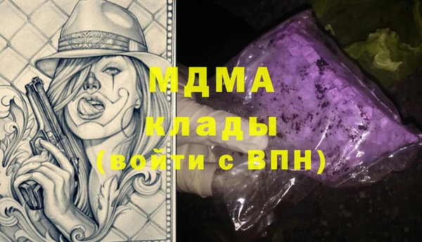 молекула духа Богданович