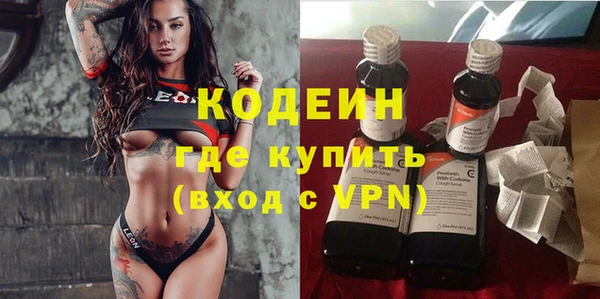молекула духа Богданович