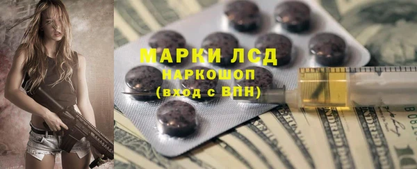 молекула духа Богданович